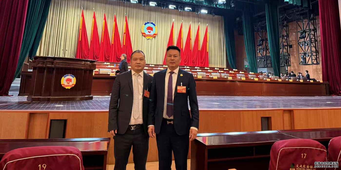  王士晃、胡从木等侨领受 